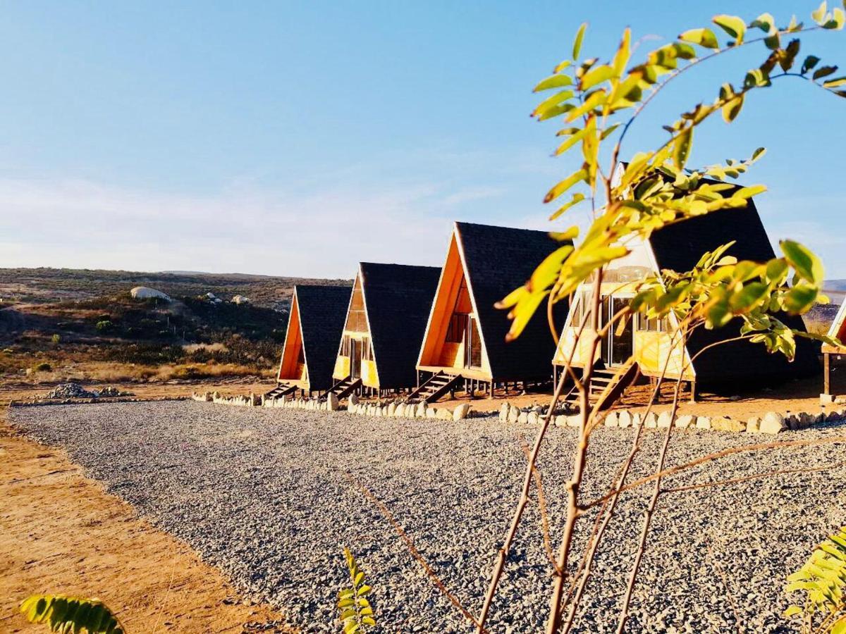 Ixchel Glamping Valle De Guadalupe Ensenada Zimmer foto